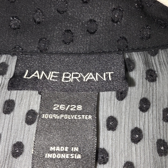 Lane Bryant Black Swiss Dot Ruffle Button Front Blouse 26/28 Sheer Plus Size - Picture 3 of 4